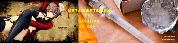 прущие грибы Абдулино