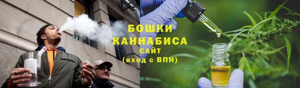 прущие грибы Абдулино