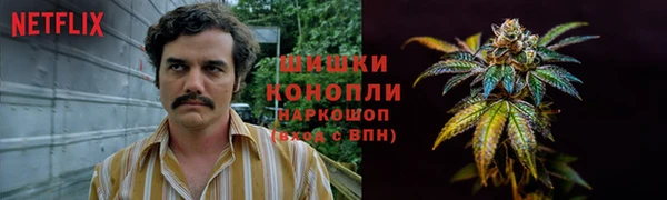 СК Протвино