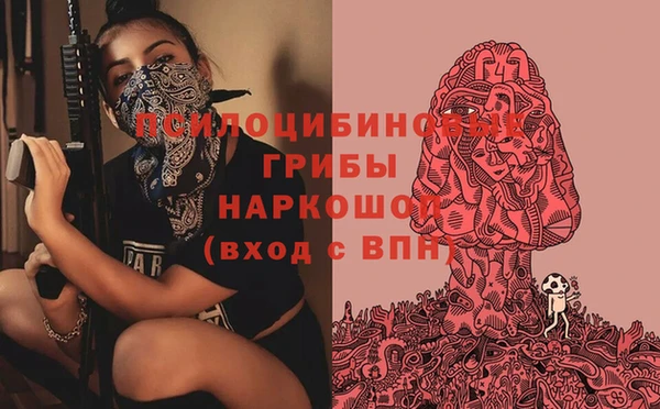 дурь Приозерск