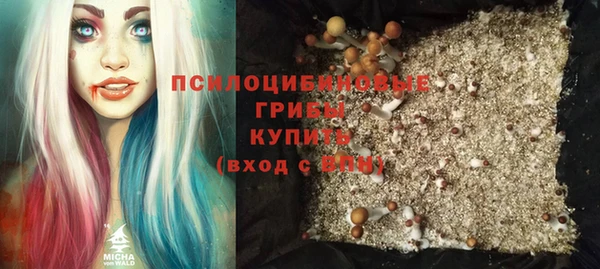 прущие грибы Абдулино