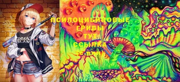 прущие грибы Абдулино