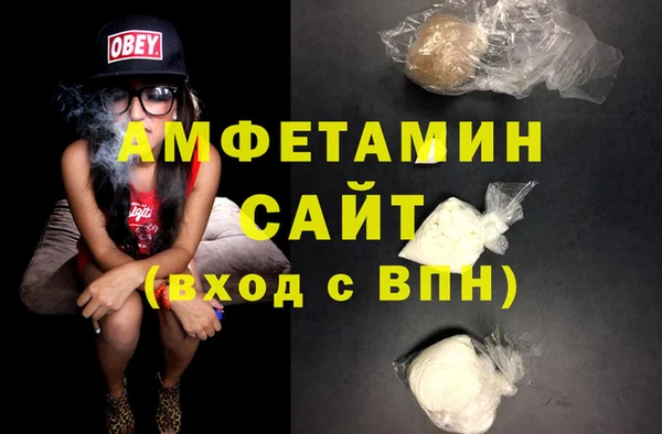 шишки Рославль